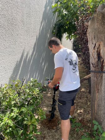 Entreprise-traitement-termite-Marseille