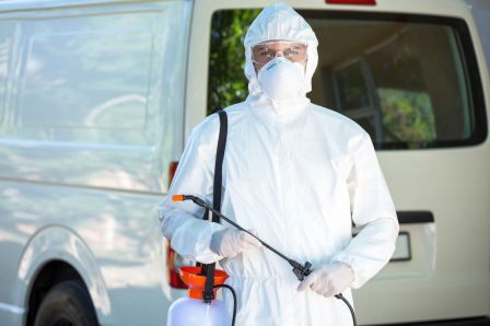 entreprise-désinsectisation-traitement-cafard-marseille