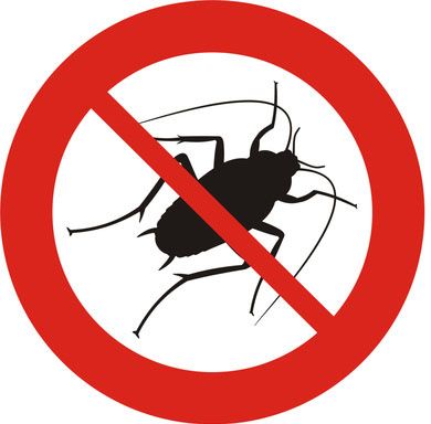 Nuisibles 13 : destruction de nids de guêpes à Marseille dans les Bouches-du Rhône (13)